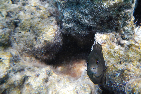 20121009 - Bora Bora (AW) - 0129.jpg