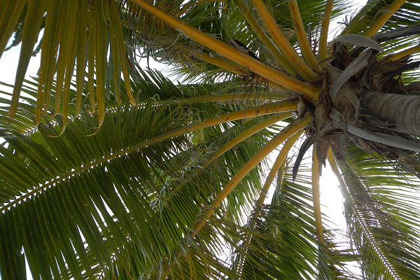 20121010 - Bora Bora (AW) - 0023.jpg