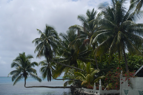 20121011 - Moorea (AW) - 0064.jpg