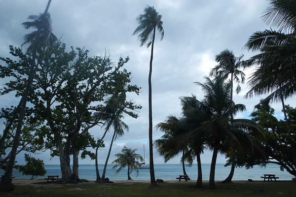 20121011 - Moorea (AW) - 0079.jpg