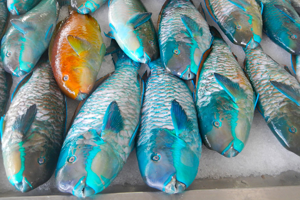 20121013 - Tahiti (AW) - 0018.jpg
