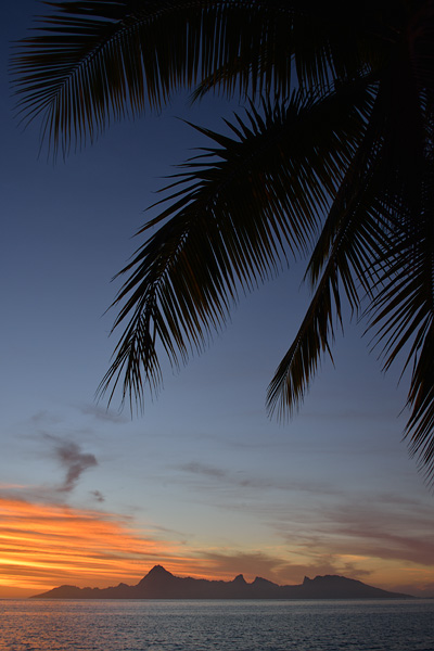 20121013 - Tahiti - 0224.jpg