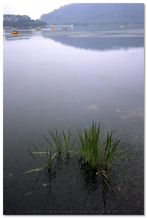 ShunDe 順德