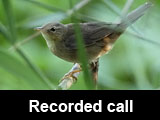 Recorded call