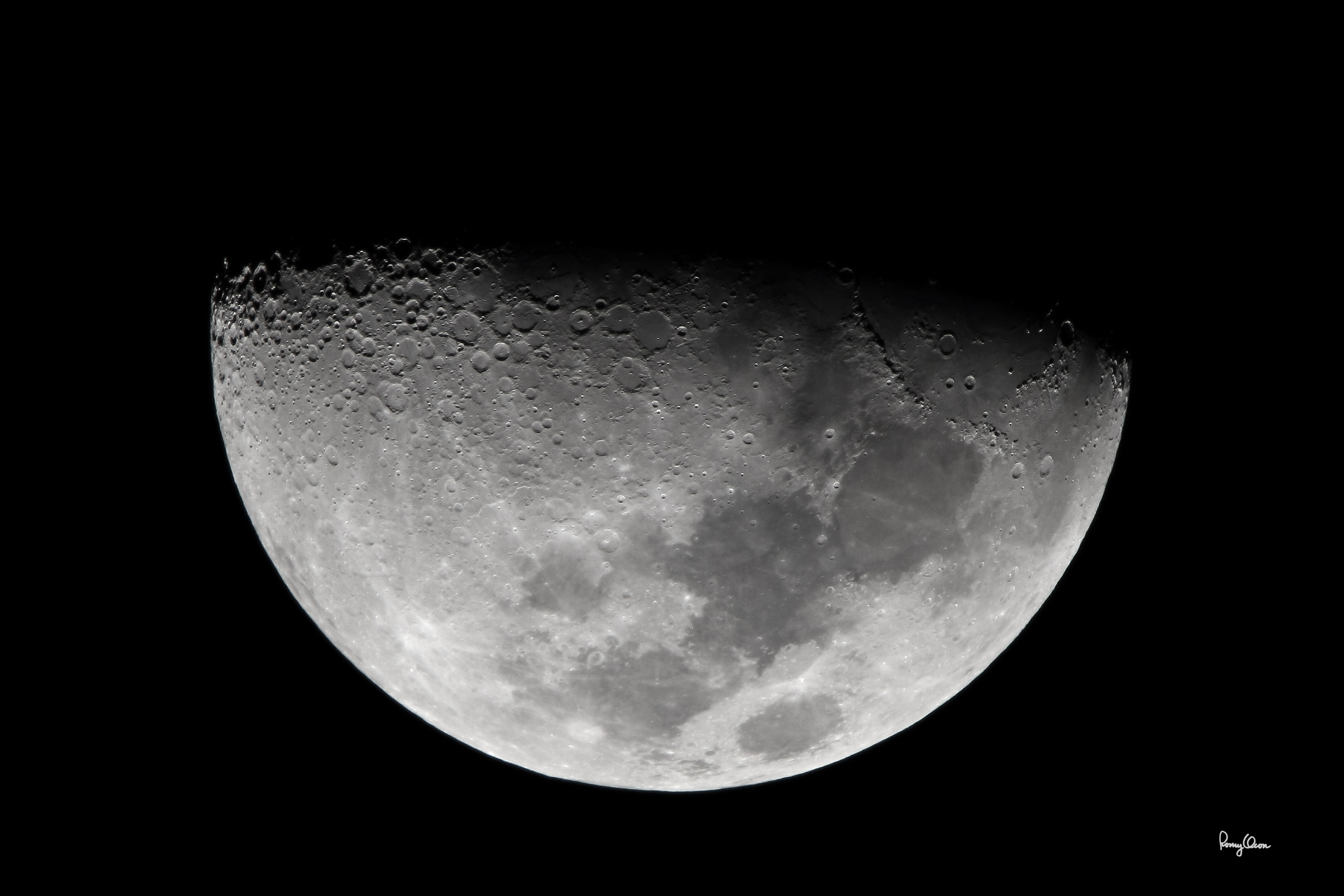 IMG_5204-75crop.jpg