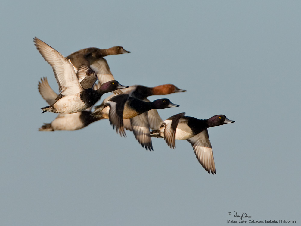 IMG_5544-1000x750.jpg