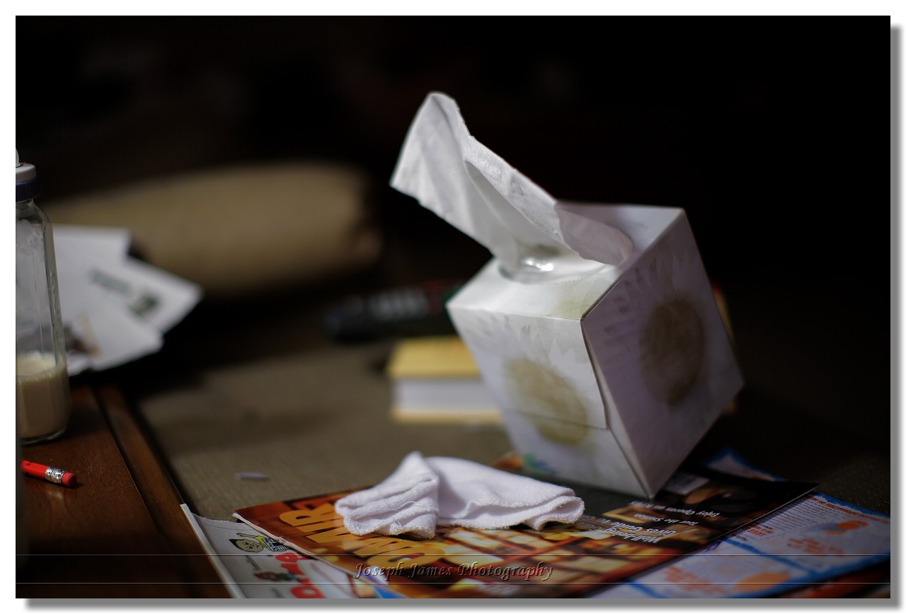 20080302 -- 202232 -- Canon 5D + 50 / 1.2L @ f / 1.2, 1/60, ISO 100