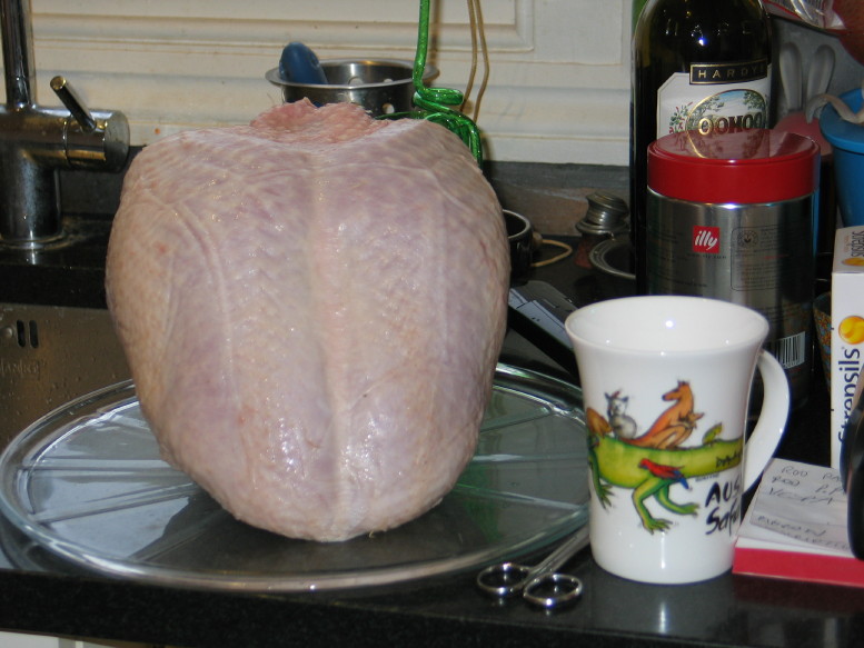 IMG_5559_12_1.JPG