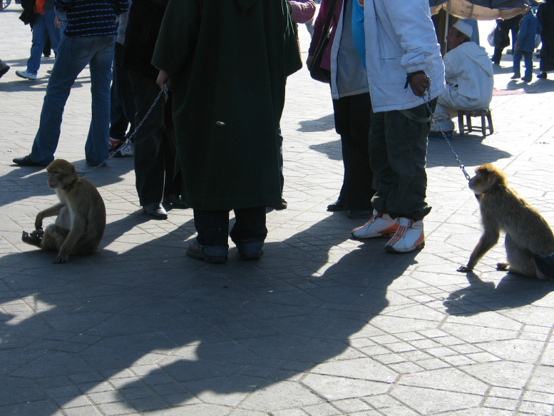 IMG_5660_8_1.JPG