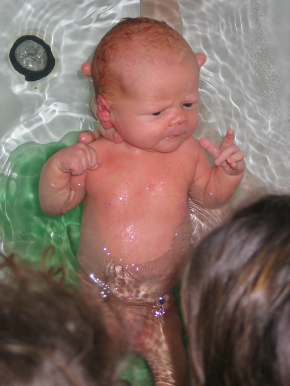 IMG_7106_3_1.JPG