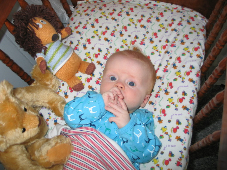 IMG_7975_8_1.JPG