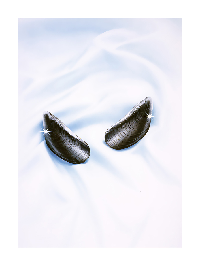 Illustration/Img5/Challenger/Leon