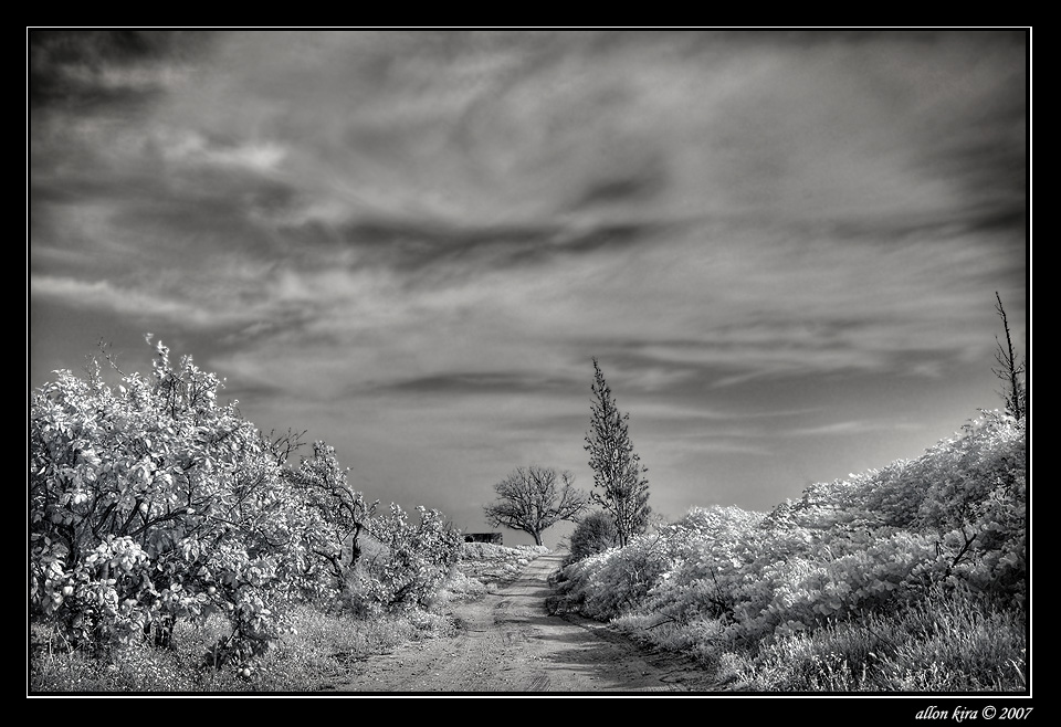 hdr7.jpg