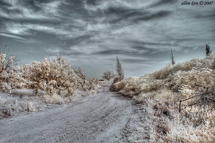 hdr14.jpg