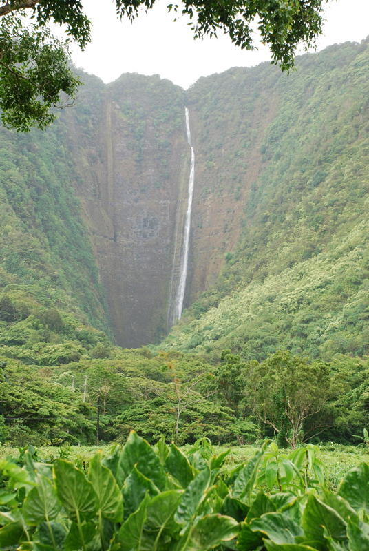 Waipi'o Valley Waterfall