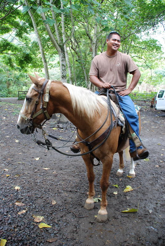 Waipi'o Valley Horseback Ride Guide