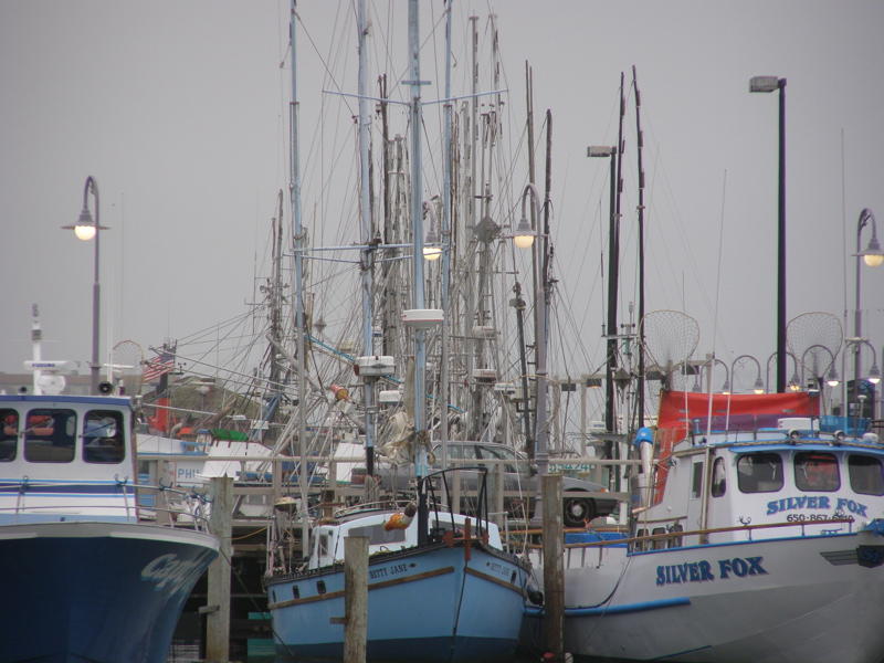 Mast Mania