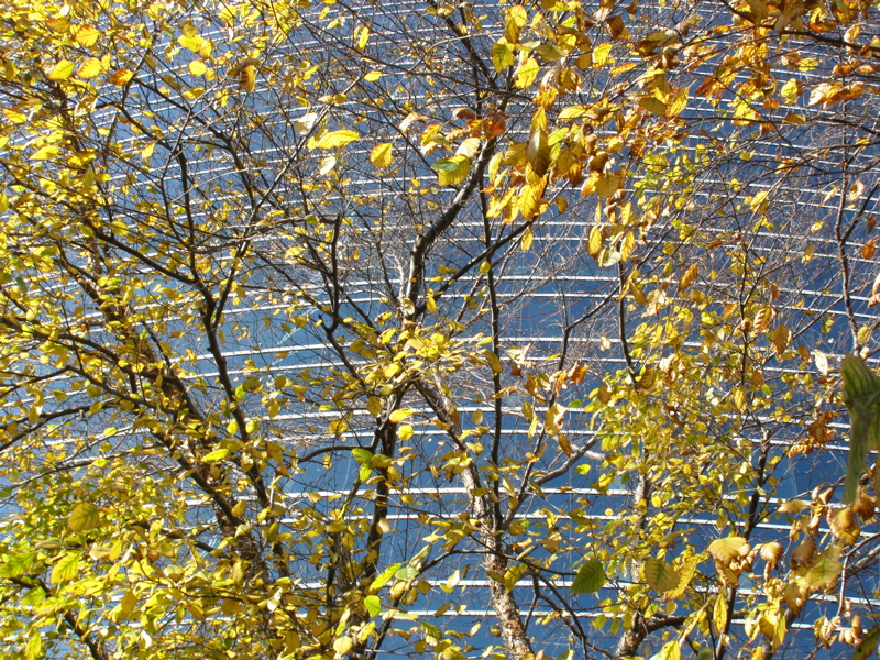 PC030006.jpg