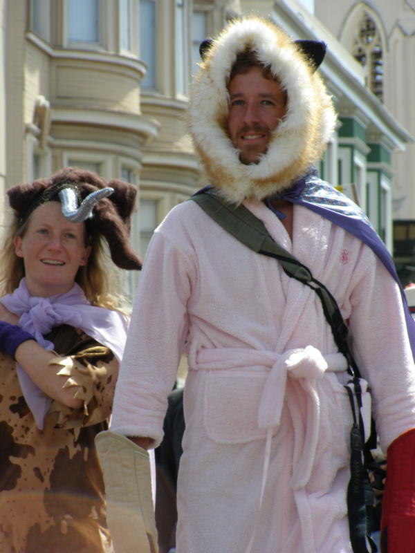 St. Stupid's Day