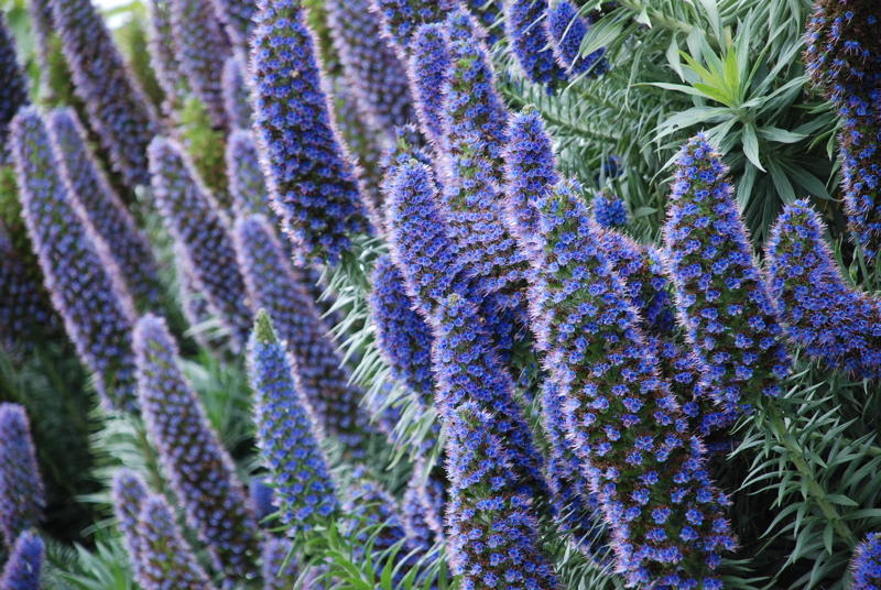 o6/41/570641/1/78086538.1aMxPYMa.DSC_0101.jpg