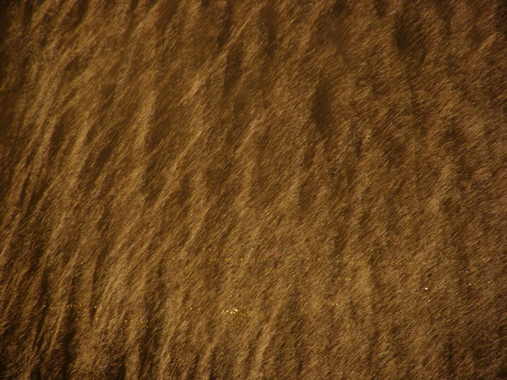 o6/41/570641/1/78808331.1nxsbSEx.P5120144.jpg