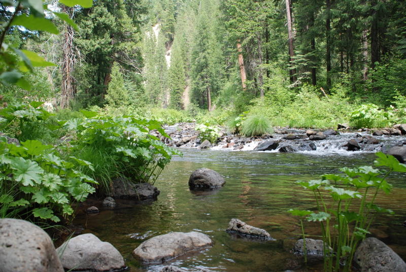 McCloud River