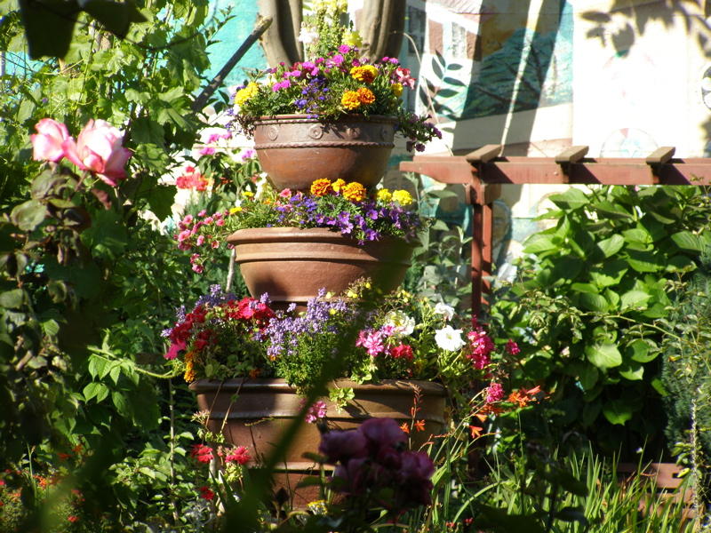 Langton Street Garden