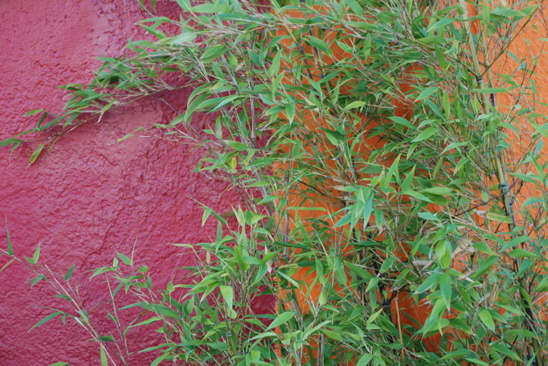 o6/41/570641/1/81452992.nR3tdvJx.DSC_0085.jpg