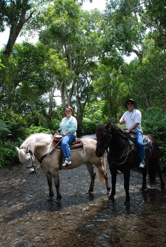 Horseback Ride in the Waipi'o Valley