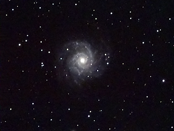 m74