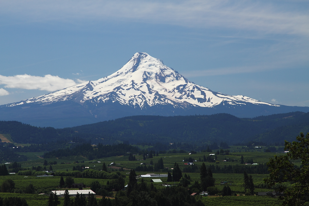 Mt. Hood