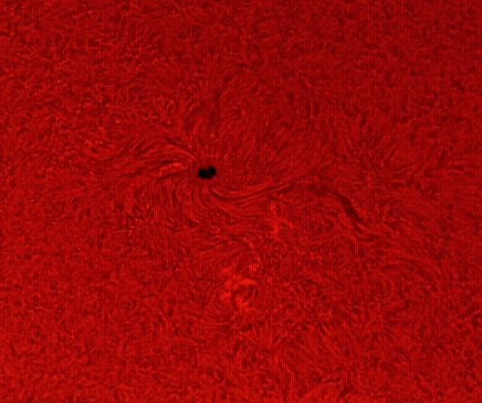 sun101211-1.jpg