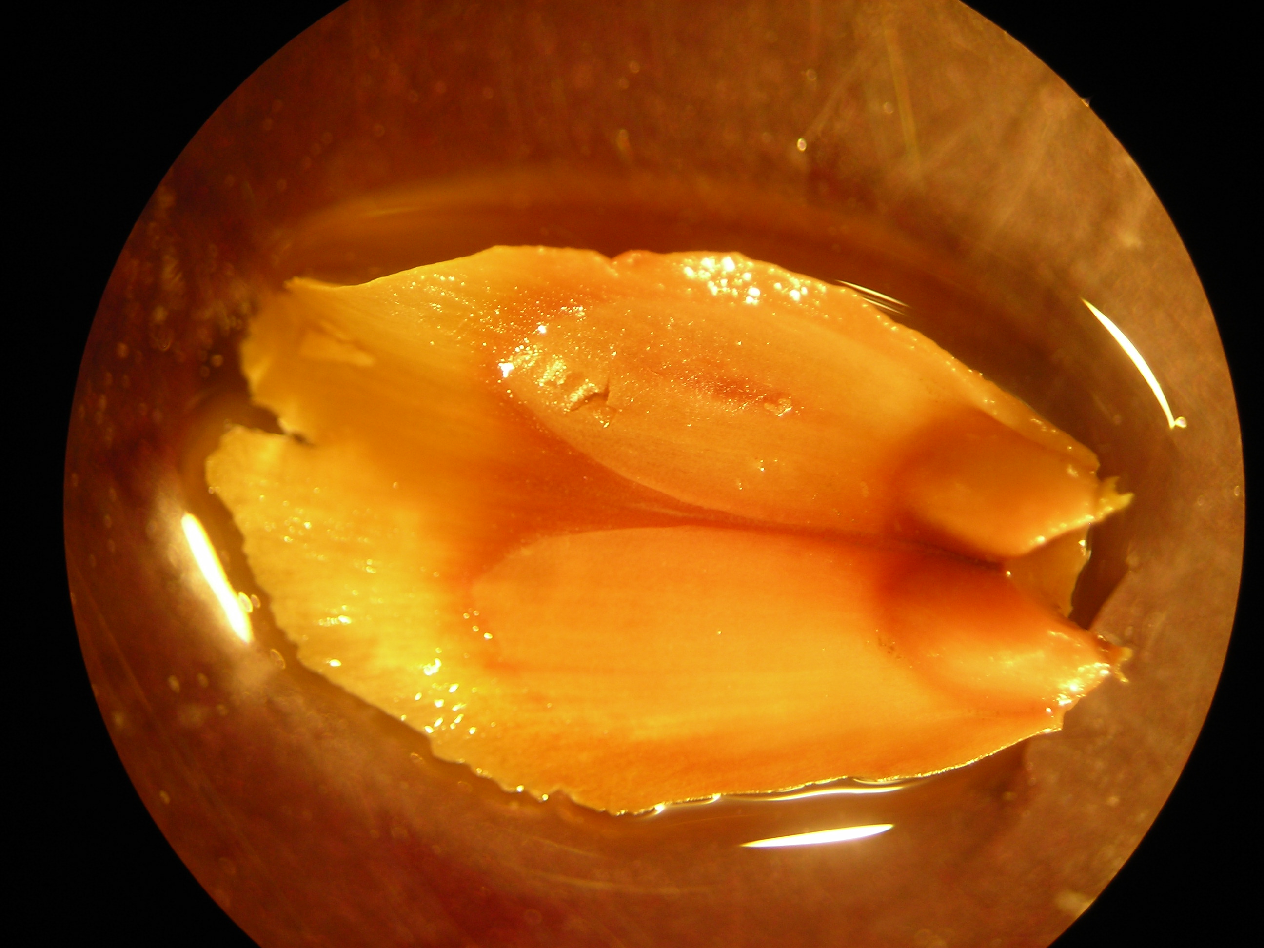 DSCN0865.JPG