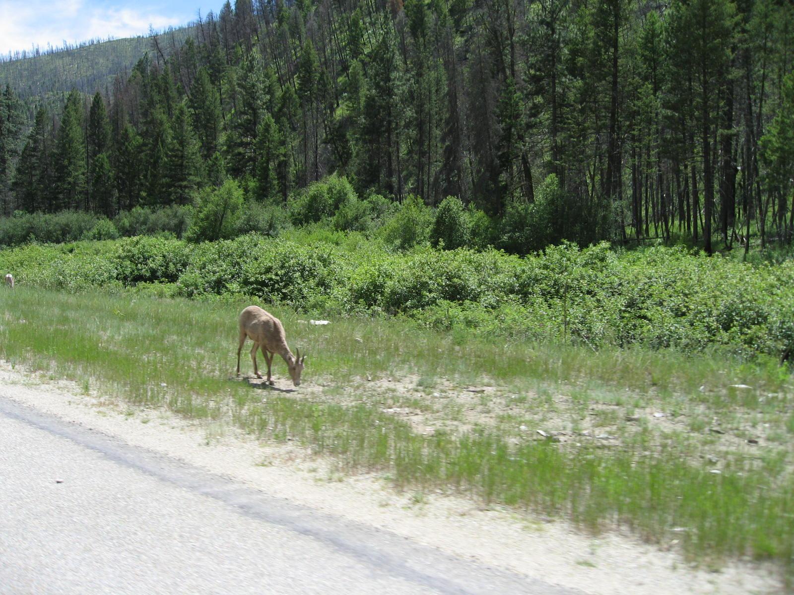 Idaho 006a.JPG