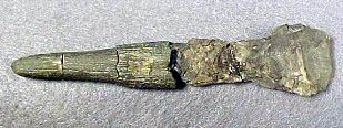 Hematites 94mm, Washington, USA.