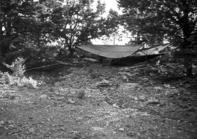 The hammock