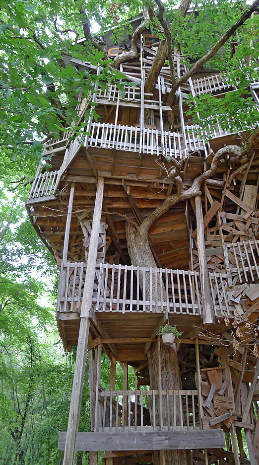 TREE HOUSE CHURCH