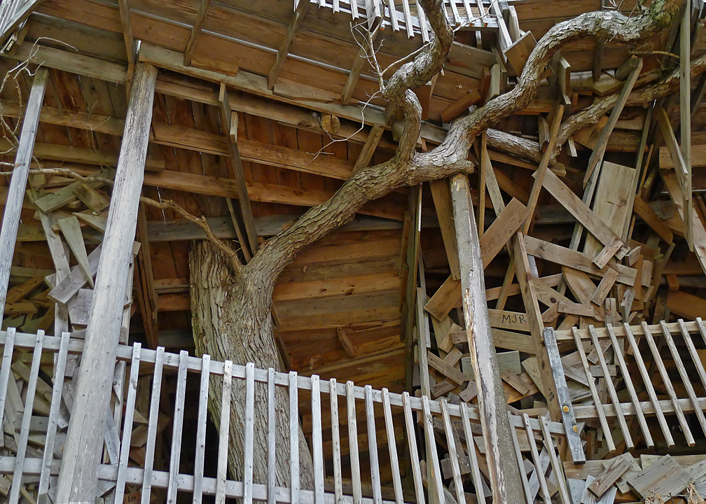 TREE HOUSE CHURCH