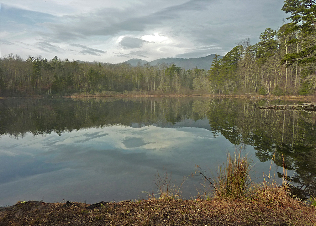 TRANQUIL MOUNTAIN LAKE, NEAR ASHEVILLE, NORTH CAROLINA  -  TAKEN ON A MORNING HIKE