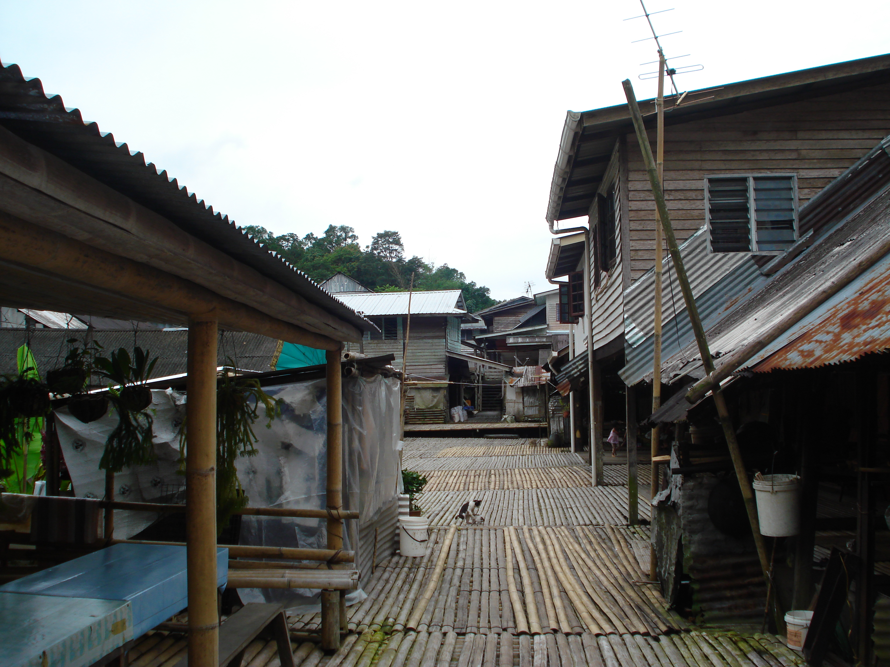 an actual longhouse 1