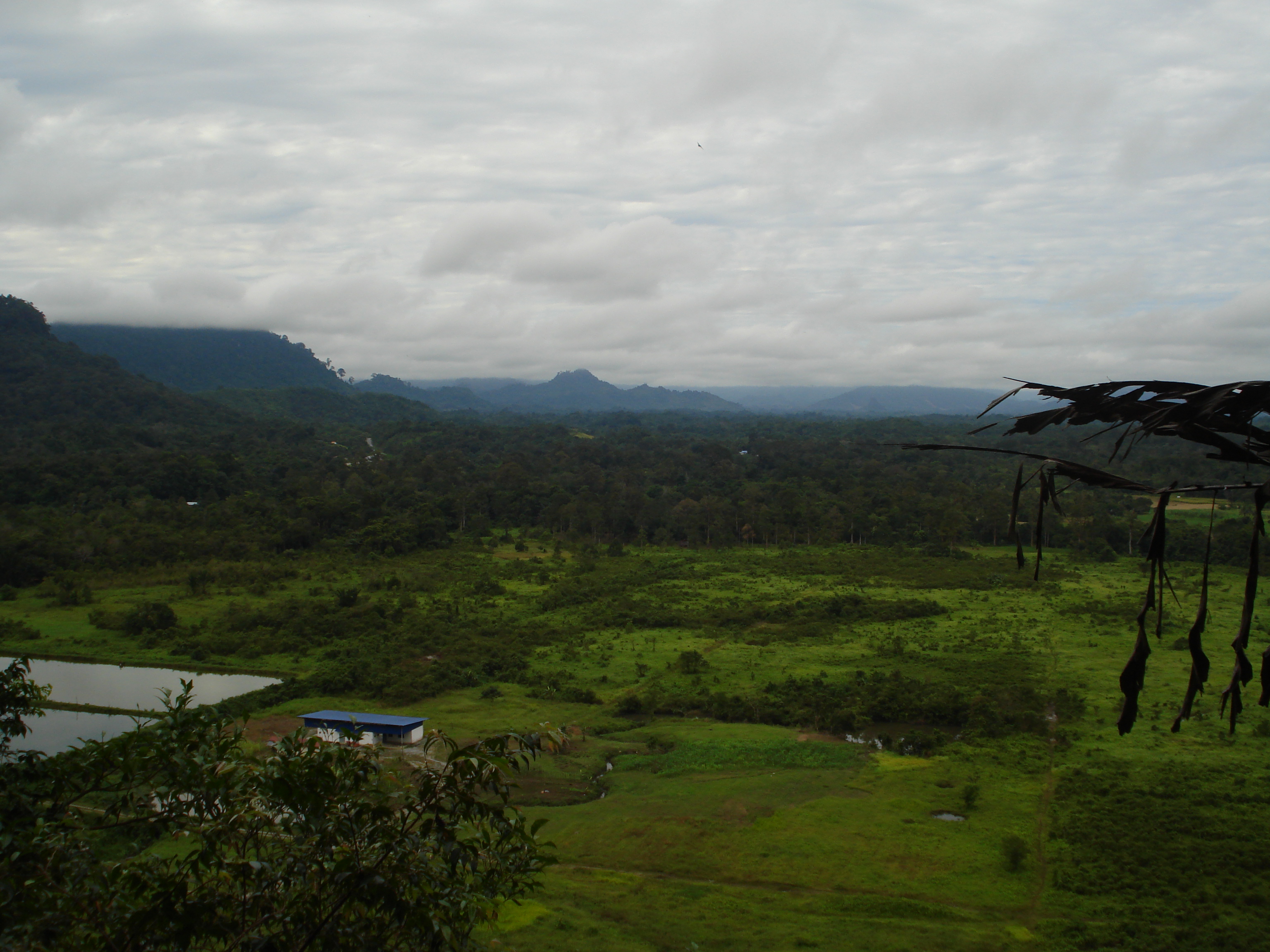 view