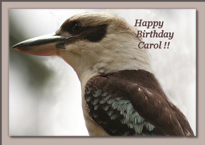 Happy Birthday Carole~13th November 2006