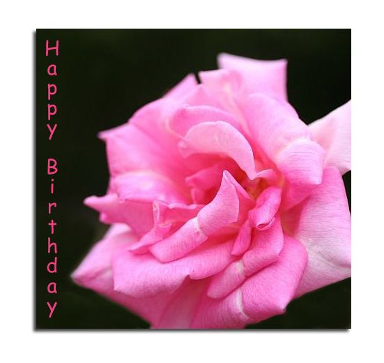 Happy Birthday Grace~June 18th 2007