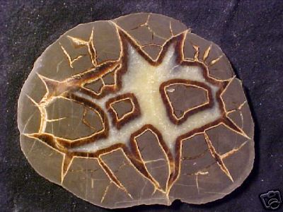 40. Fabulous Septarian Nodule slab came from fantastic Utah seller, cantim. Click 'n learn!