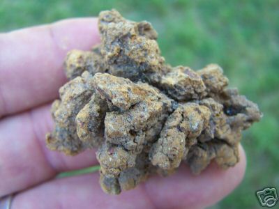 47. Dinosaur Poop (Coprolite) - from supremetroll on ebay. Wonderful ebayer. He sent 5 freebies!