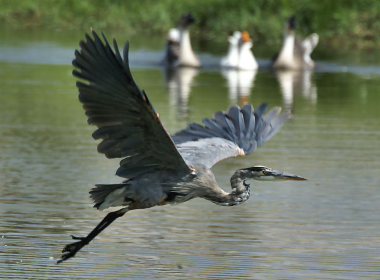 20080920_122.JPG