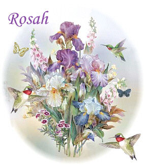 040207 Rosah sig1.jpg