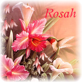 040207 Rosah sig2.jpg