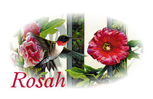 040207 Rosah sig3.jpg