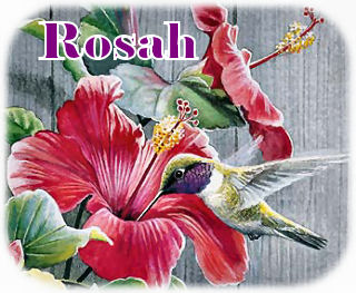 79682057_Cr2XUgeR_053007rosahsig.jpg